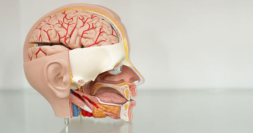 neurosciences